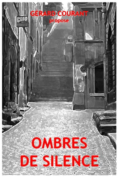 Ombres de silence poster