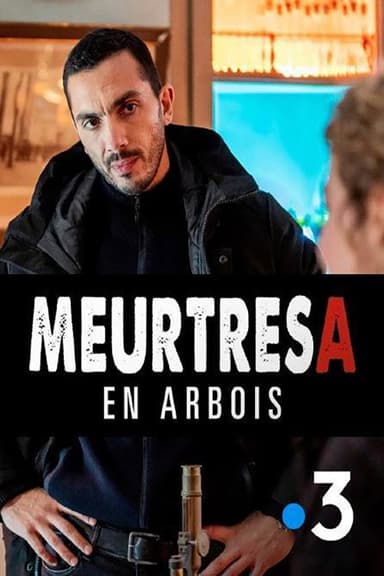 Asesinato en Arboix poster
