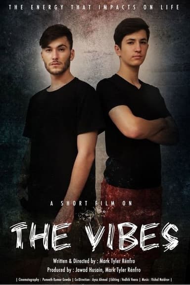 The Vibes poster