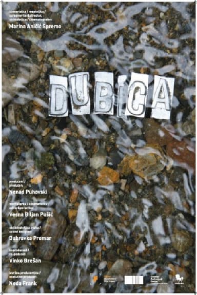 Dubica poster