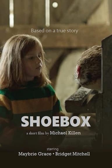 Shoebox poster