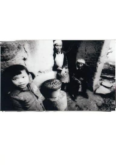 陈小梅进城 poster