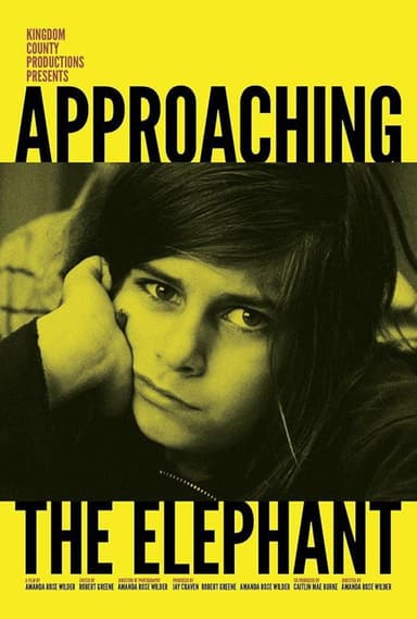 Approaching the Elephant poster