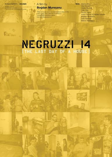 Negruzzi 14 poster