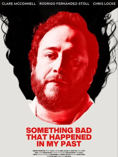 Something Bad That Happened in My Past poster