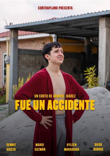 Fue un accidente poster