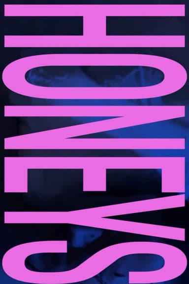 Honeys poster