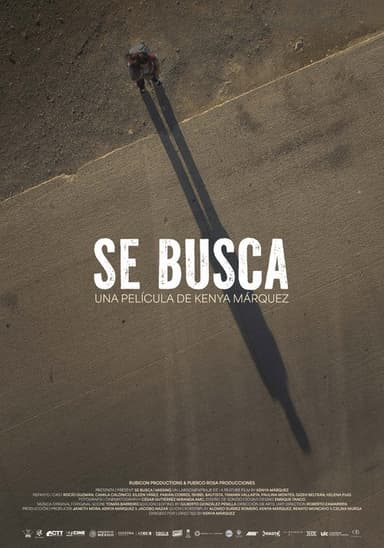 Missing poster