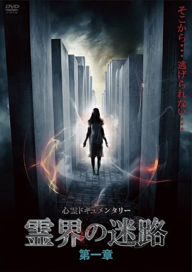 The Labyrinth of the Spirit World: Chapter 1 poster
