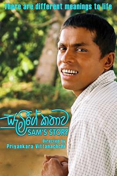 Sam's Story poster