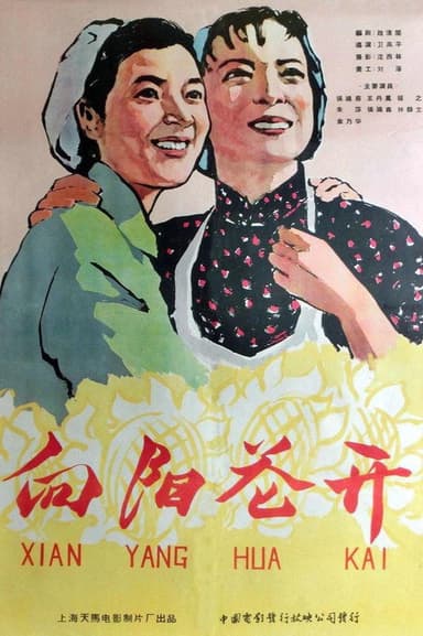 向阳花开 poster