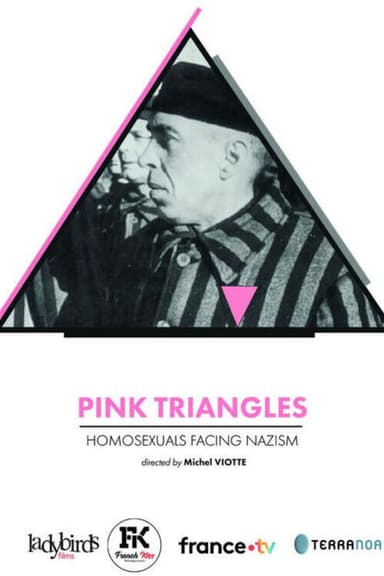 Pink Triangles, Homosexuals Facing Nazism poster