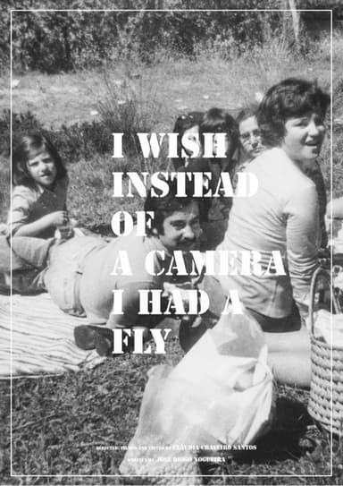 I Wish Instead of a Camera I Had a Fly poster