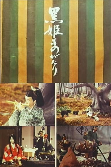 The Kurohime Story poster