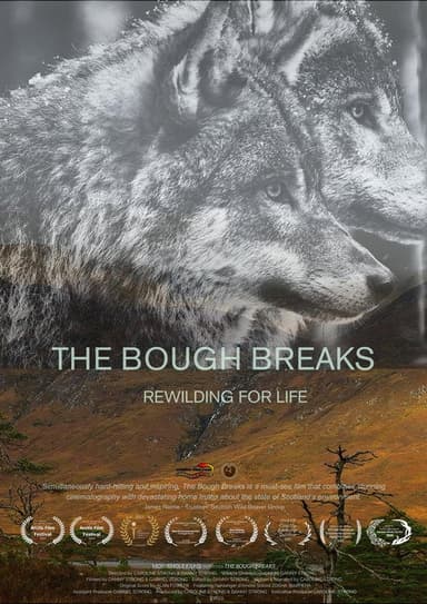 The Bough Breaks poster
