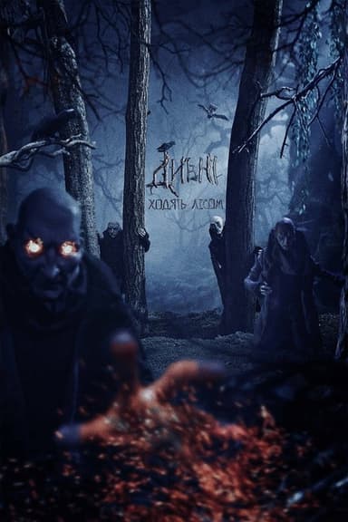 Walking Through the Forest poster