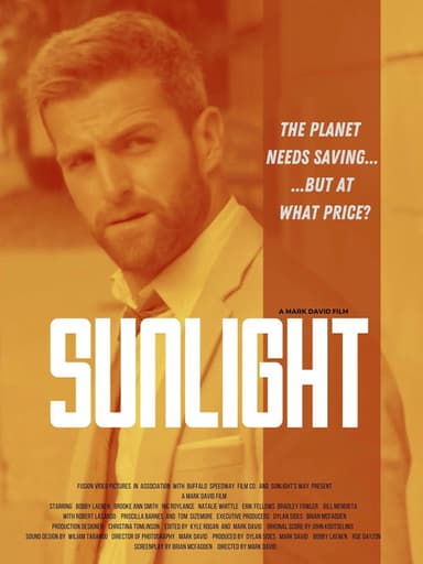 Sunlight poster