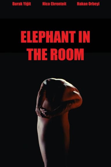 Elephant in the Room poster
