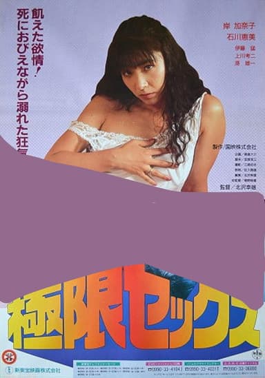 Kyokugen sex: Meshû poster