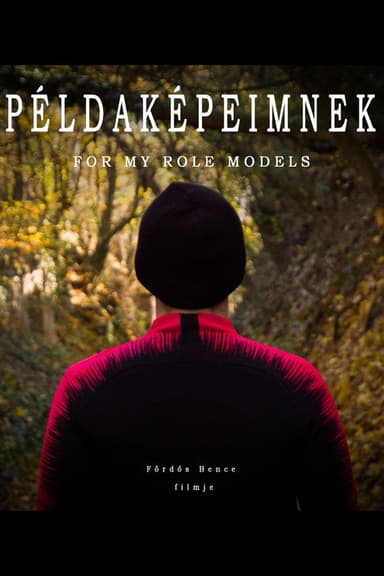 For My Role Models poster