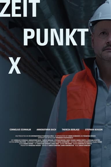 Made in Germany poster
