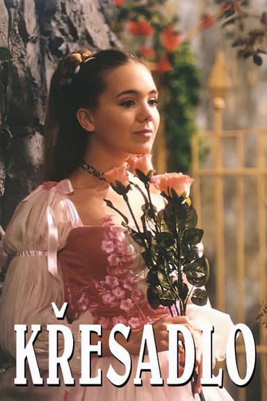 Křesadlo poster