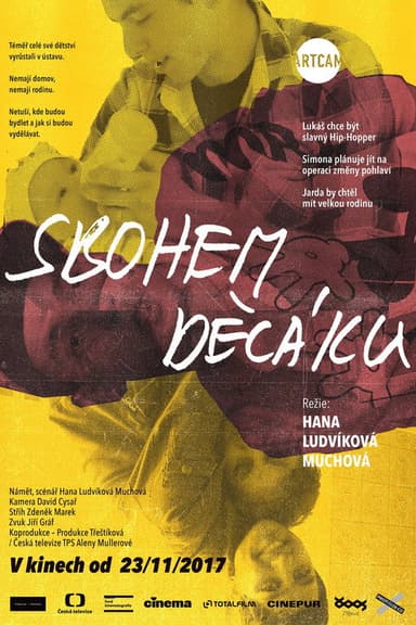 Sbohem děcáku poster