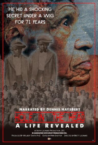 Hole in the Head: A Life Revealed poster