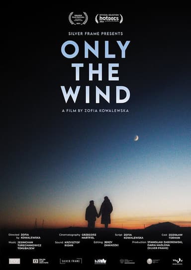 Only the Wind poster