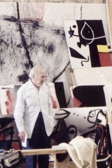 D’un roig encès: Miró i Mont-roig poster