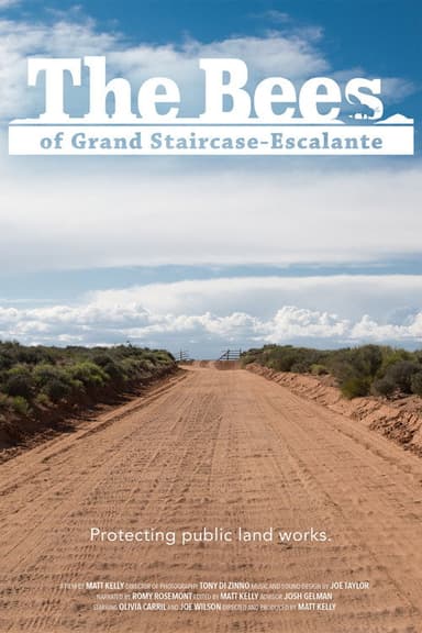 The Bees of Grand Staircase-Escalante poster