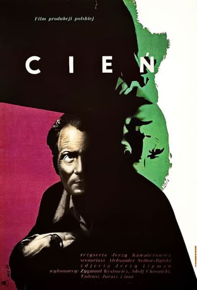 Shadow poster