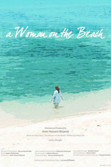 A Woman on the Beach poster