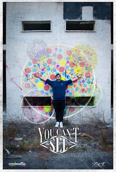 You Can't See poster