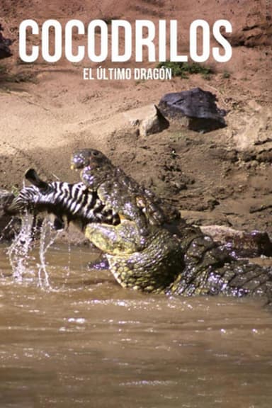 Crocodiles, the last dragon poster