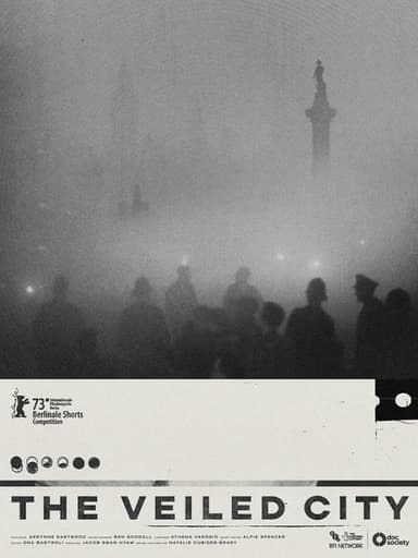 The Veiled City poster