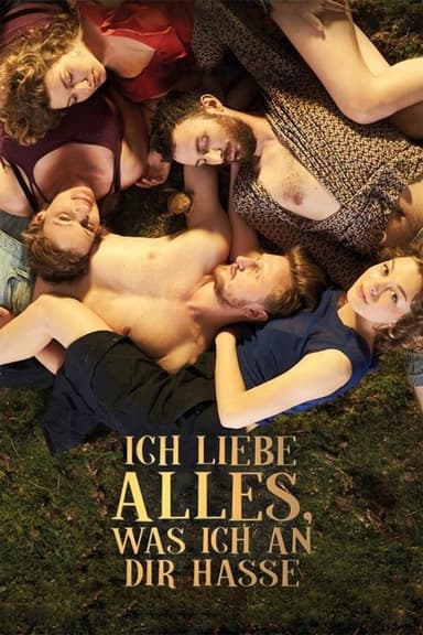 I love Everything I Hate About You poster