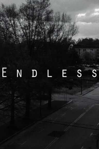 Endless poster