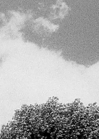 Tree & Cloud poster