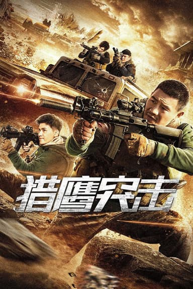 Falcon Raid poster