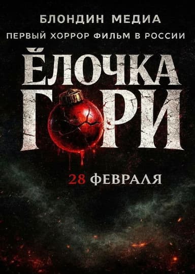 Ёлочка гори poster
