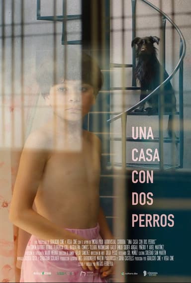 A House with Two Dogs poster