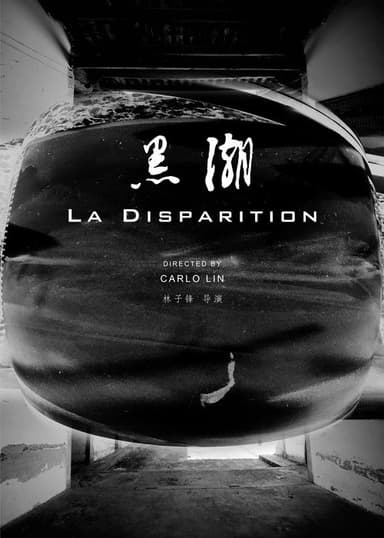Disappearance poster