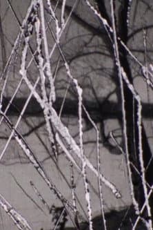 Snow poster