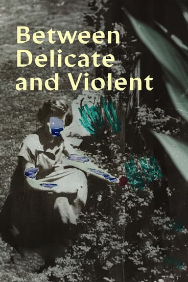Between Delicate and Violent poster