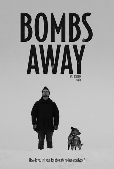Bombs Away poster