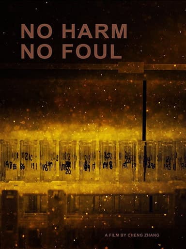 No Harm No Foul poster