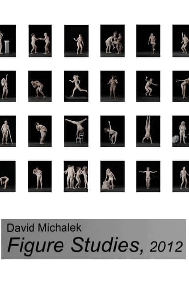 Figure Studies poster