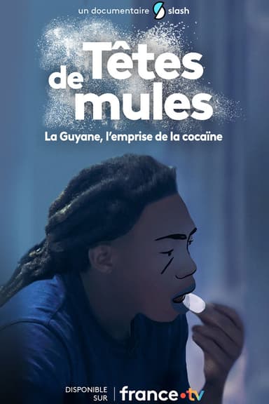 Têtes de mules : La Guyane, l'emprise de la cocaïne poster