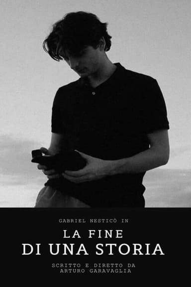 La Fine di una Storia poster